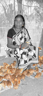 Women poultry rearing